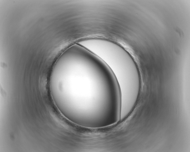 X0000091350201200708101043