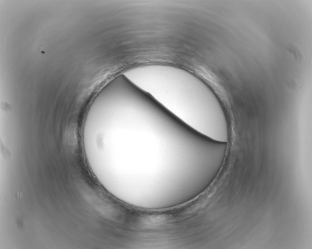 X0000091350202200708101043