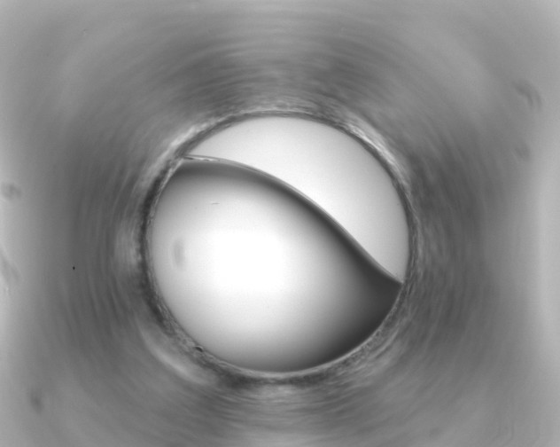 X0000091350203200708101043