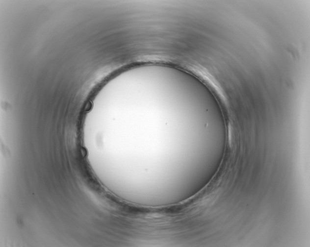 X0000091350204200708101043