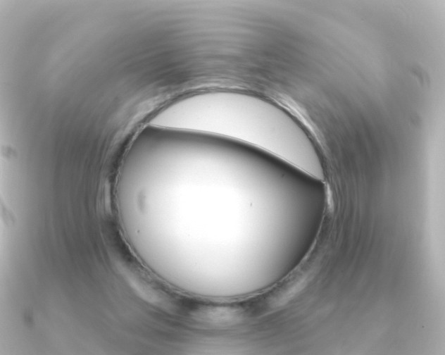 X0000091350205200708101043