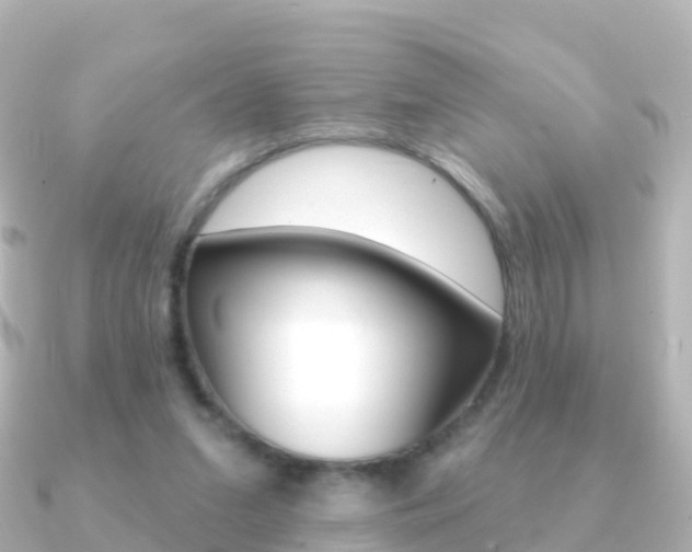 X0000091350207200708101043