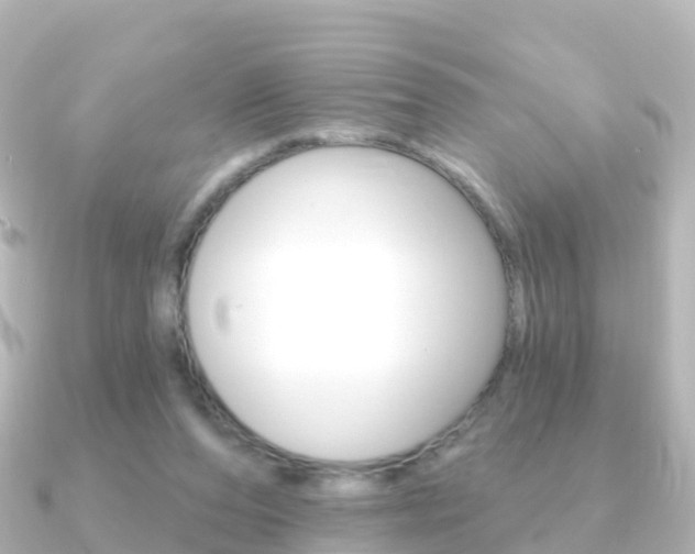 X0000091350208200708101043