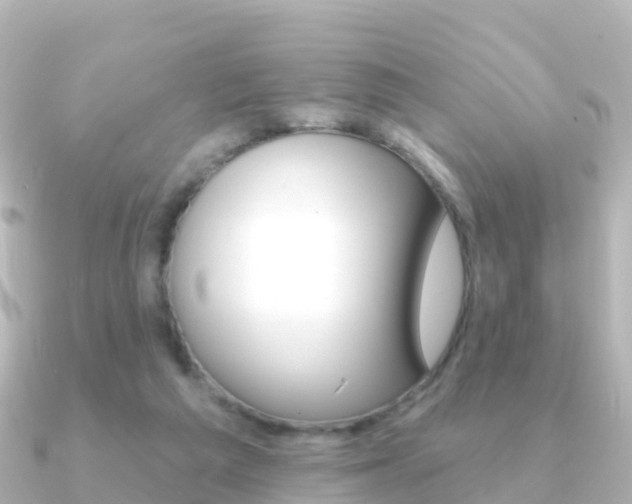 X0000091350209200708101043
