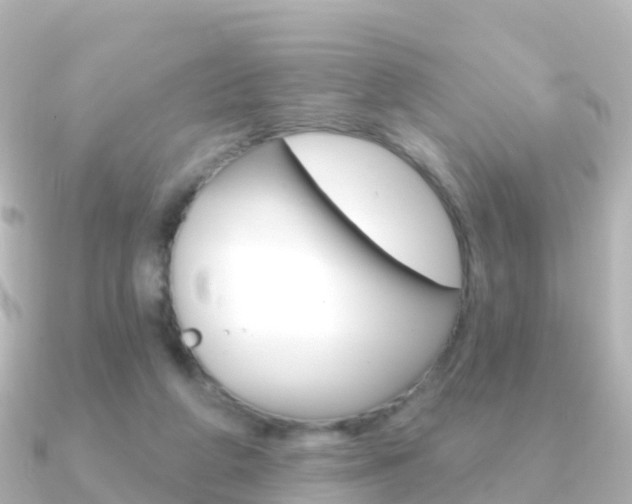 X0000091350210200708101043