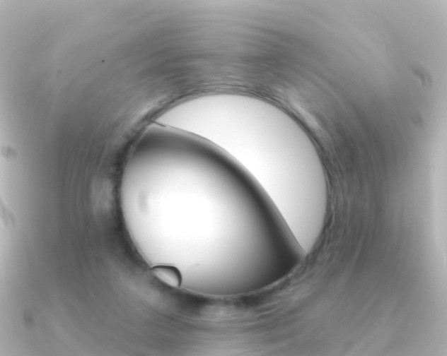 X0000091350211200708101043