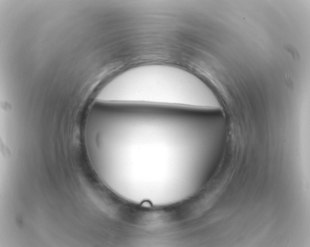 X0000091350212200708101043