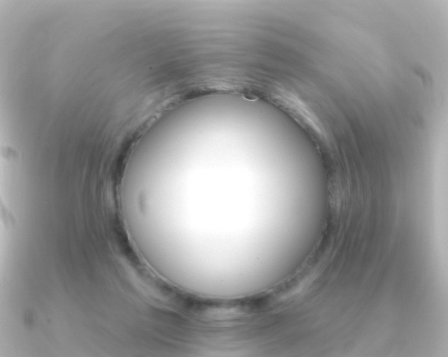 X0000091350213200708101043