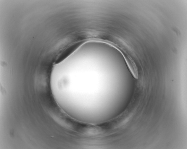 X0000091350215200708101043