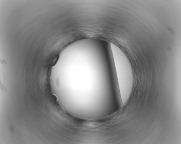 X0000091350221200708101043