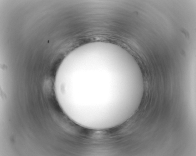 X0000091350222200708101043