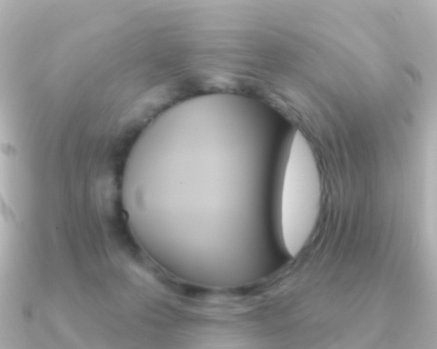 X0000091350223200708101043