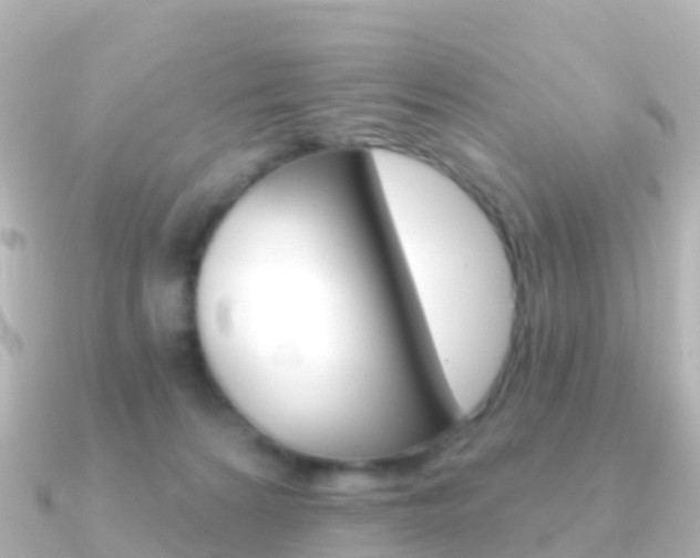 X0000091350224200708101042