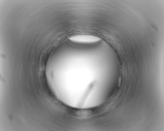 X0000091350225200708101042