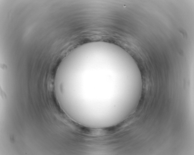 X0000091350226200708101042