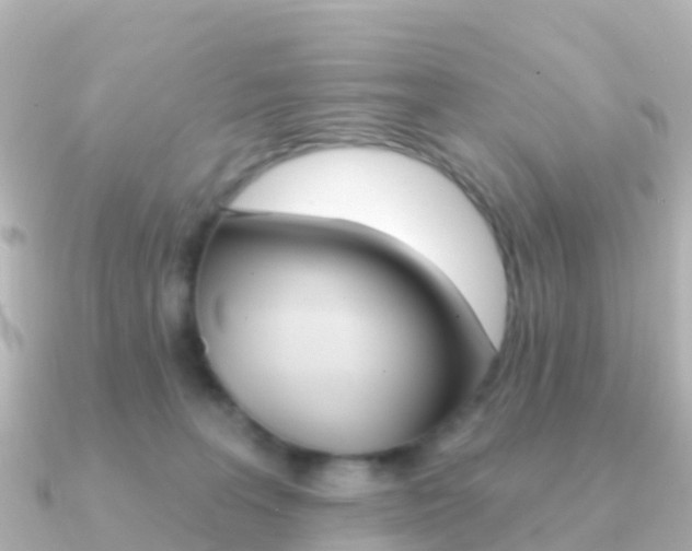 X0000091350227200708101042