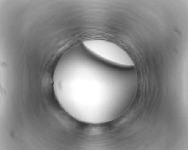 X0000091350228200708101042