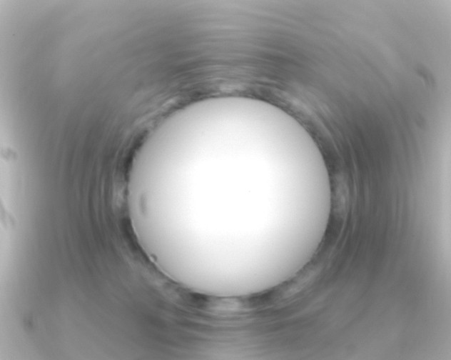 X0000091350230200708101042