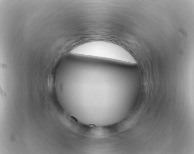 X0000091350231200708101042