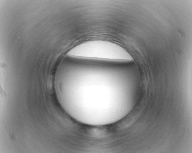 X0000091350232200708101042