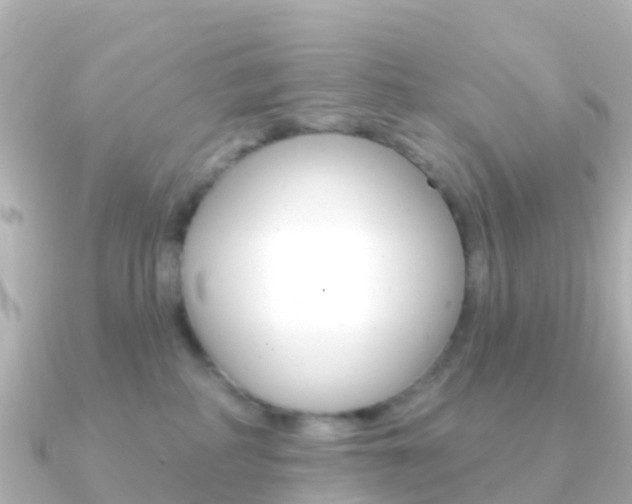 X0000091350234200708101042