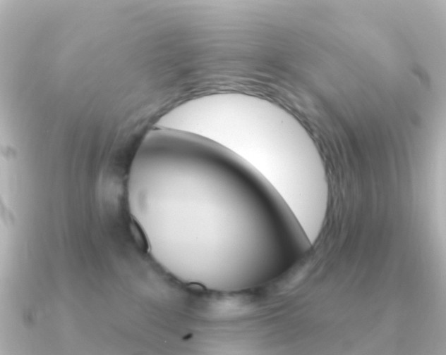 X0000091350235200708101042