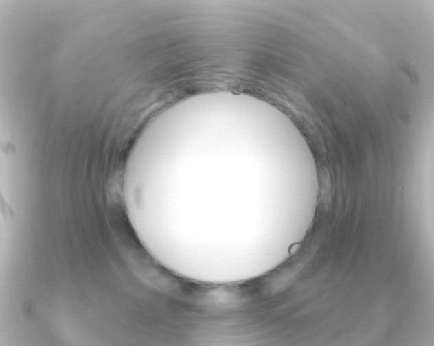 X0000091350236200708101042