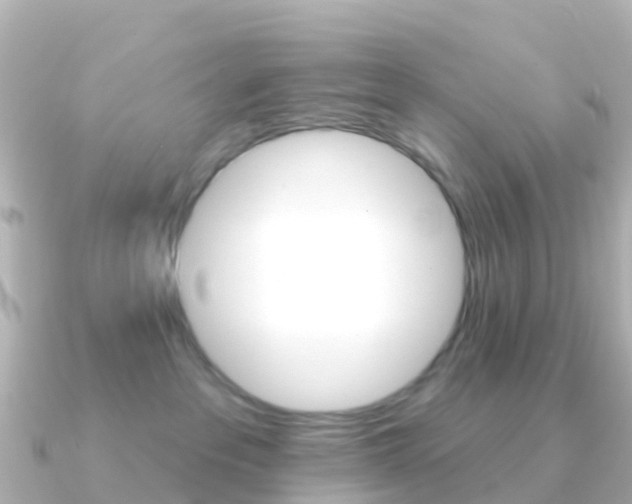 X0000091350237200708101042