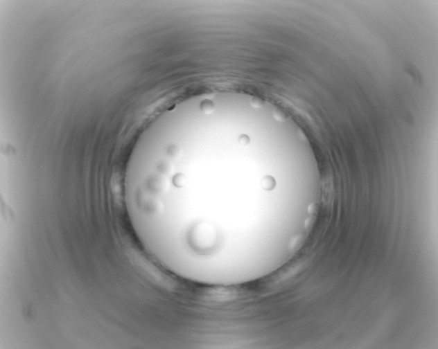 X0000091350238200708101042