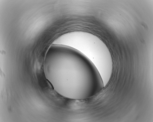 X0000091350239200708101042
