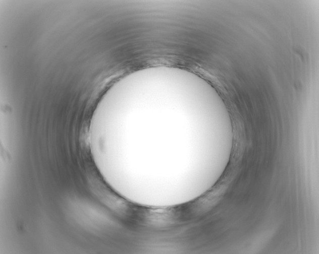 X0000091350240200708101042