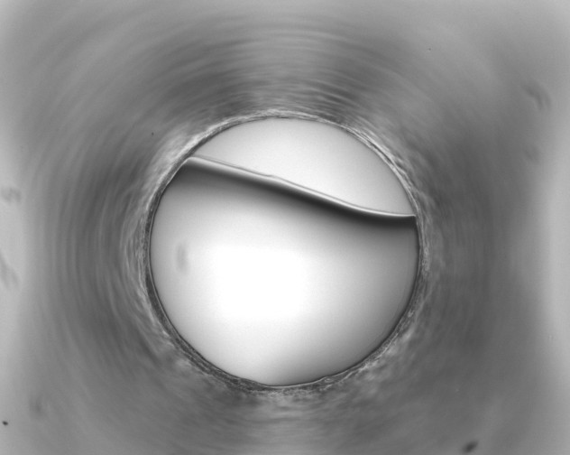 X0000091350241200708101042