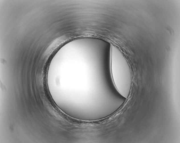 X0000091350242200708101042