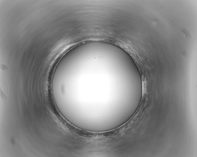 X0000091350243200708101042