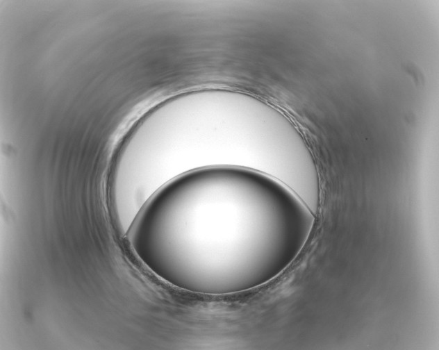 X0000091350244200708101042