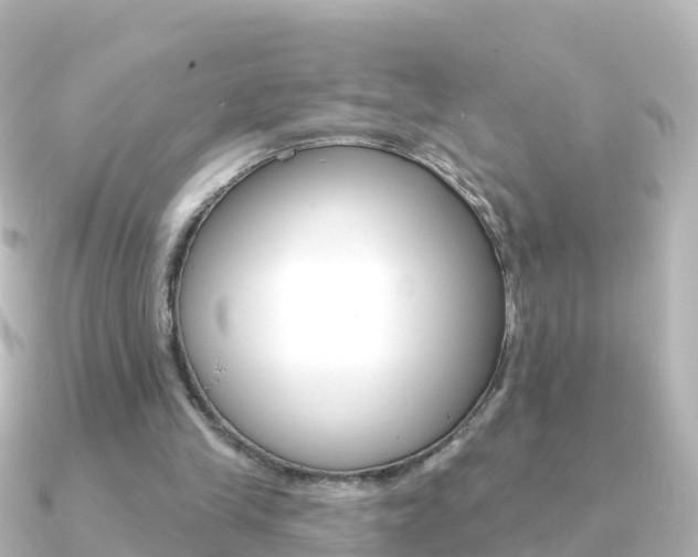 X0000091350245200708101042