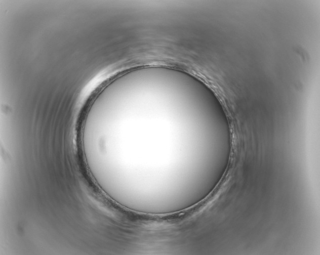 X0000091350246200708101042