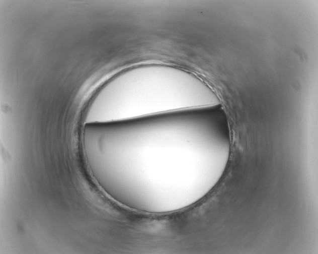 X0000091350247200708101042