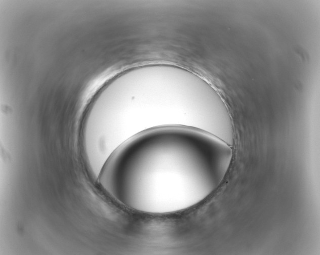 X0000091350248200708101042