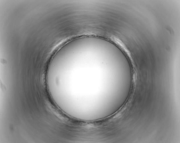 X0000091350249200708101042