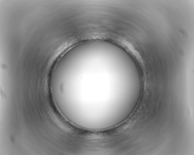 X0000091350250200708101042