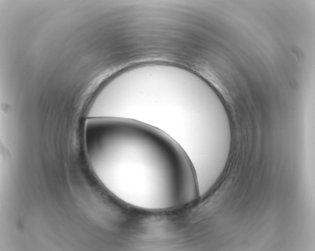 X0000091350252200708101042