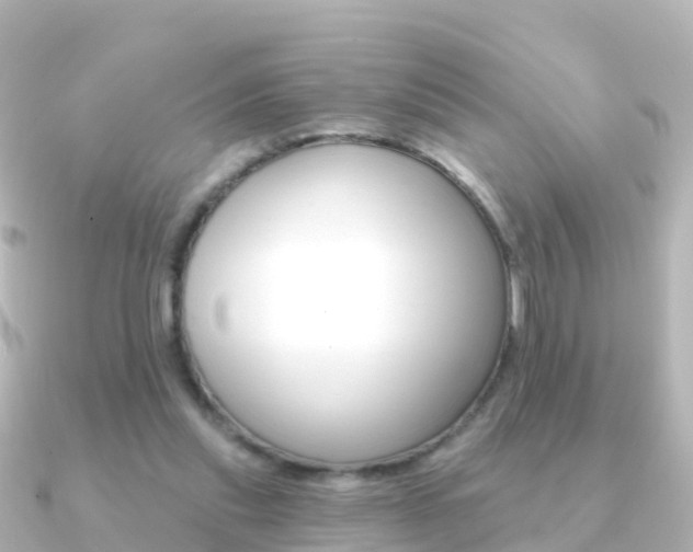 X0000091350253200708101042