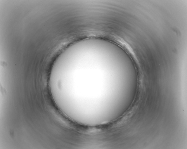 X0000091350257200708101042