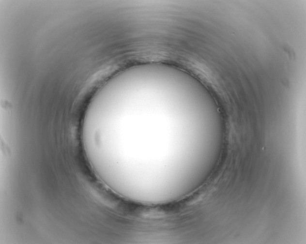 X0000091350258200708101042