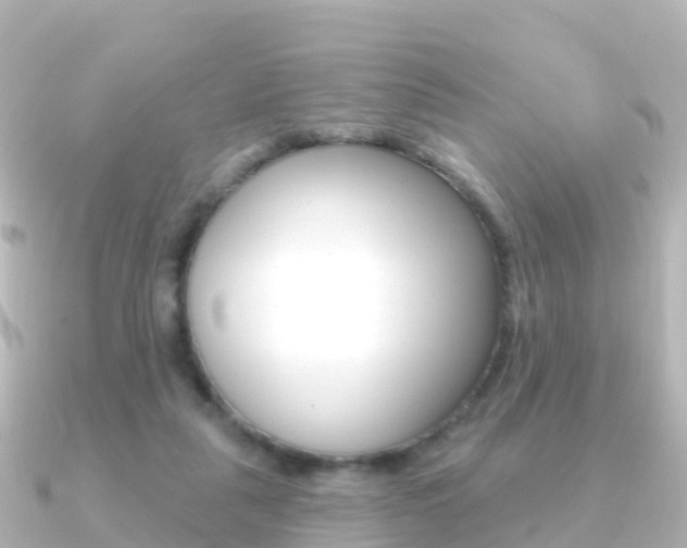 X0000091350259200708101042