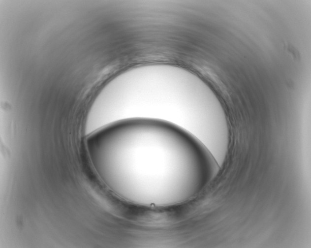 X0000091350260200708101042