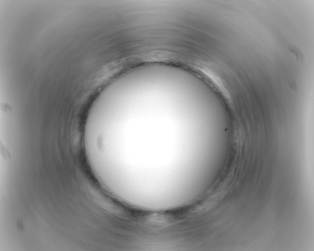X0000091350261200708101042
