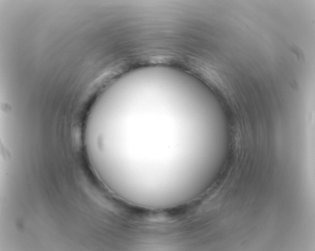 X0000091350262200708101042