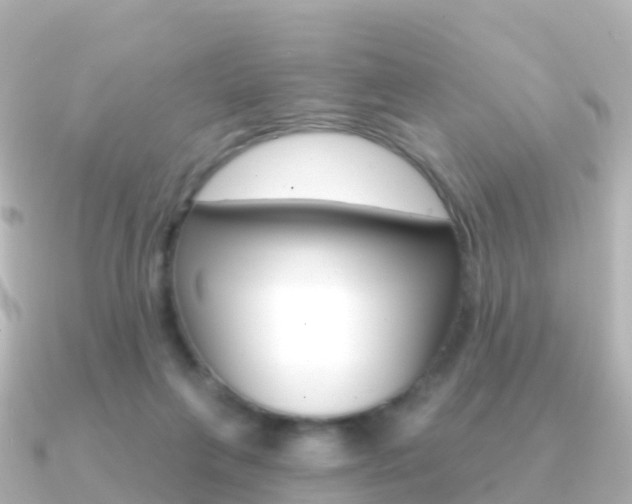X0000091350263200708101042